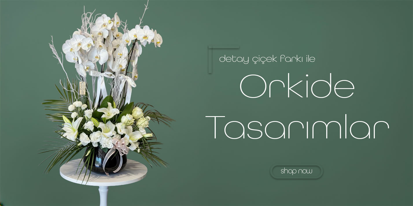 Orkide