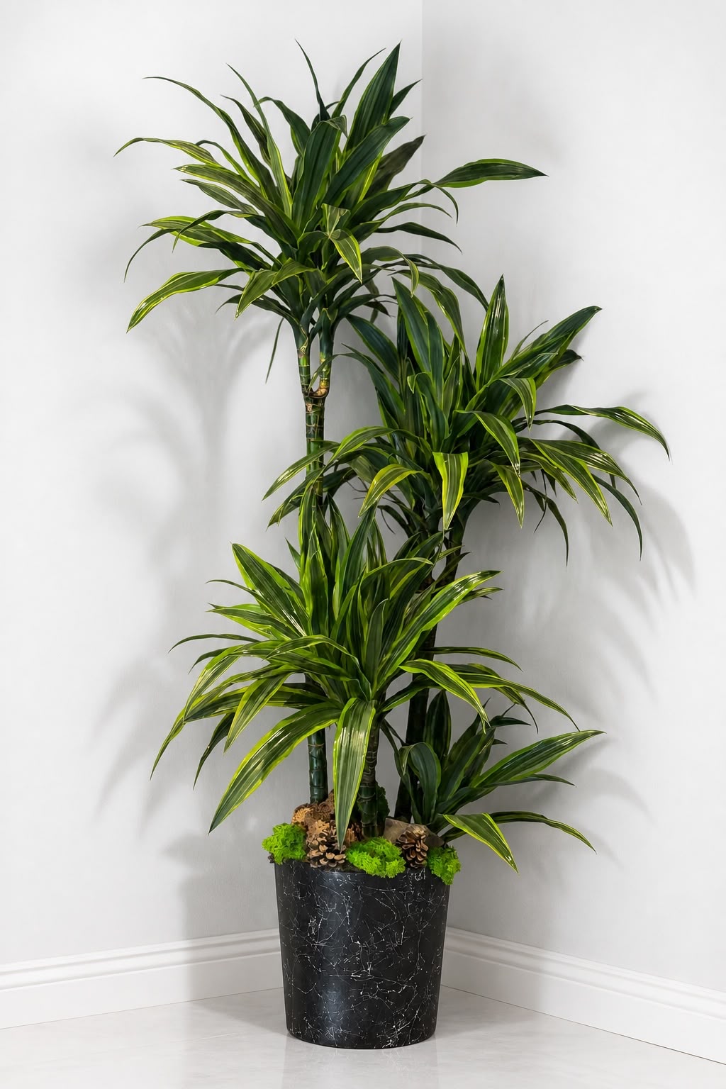 Margineta