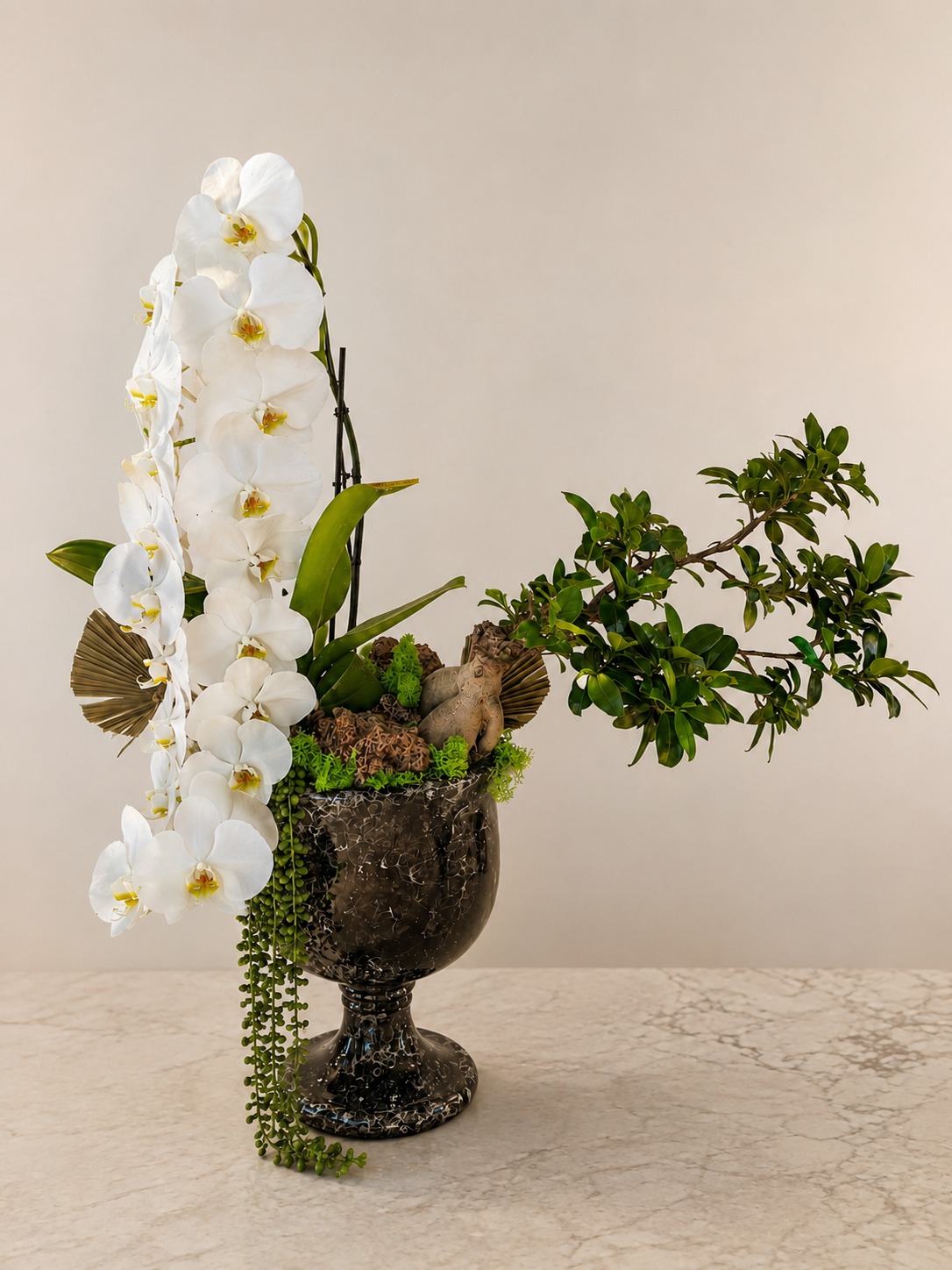 Spiral Beyaz Orkide & Bonsai Ağaç